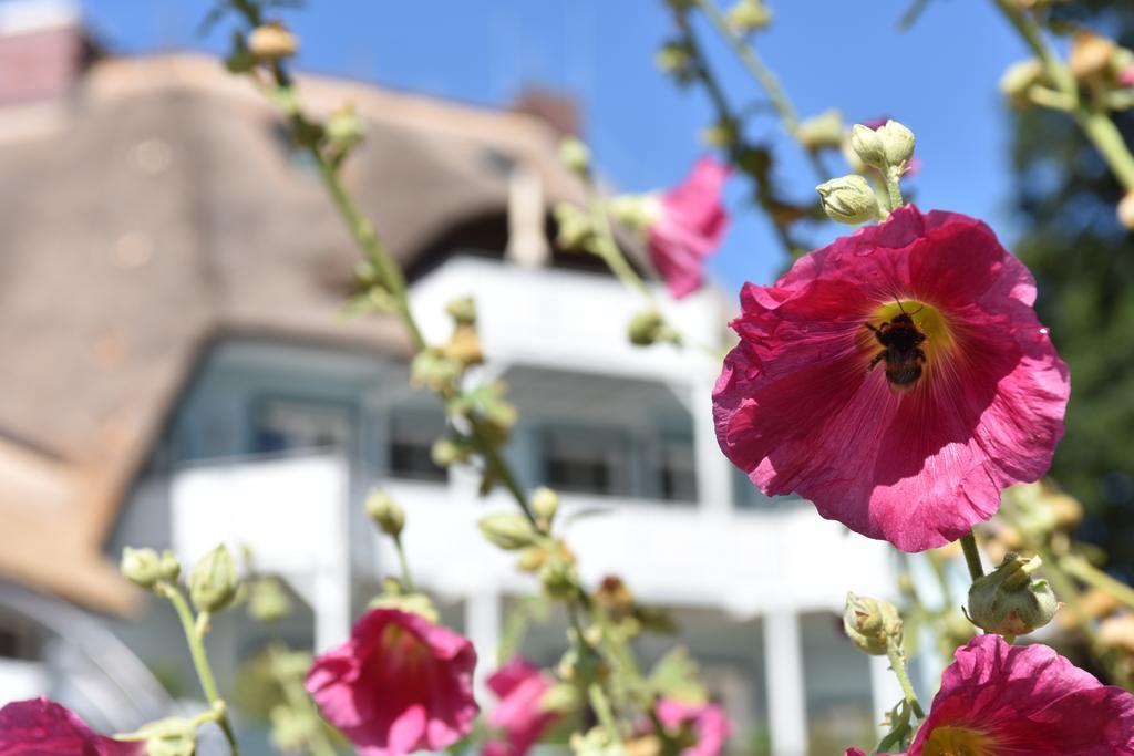 Romantik Hotel Fischerwiege Ahrenshoop Esterno foto